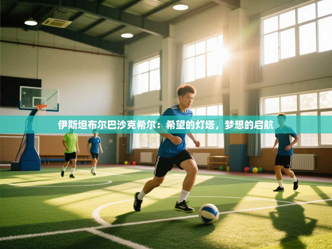 伊斯坦布尔巴沙克希尔：希望的灯塔，梦想的启航  第2张